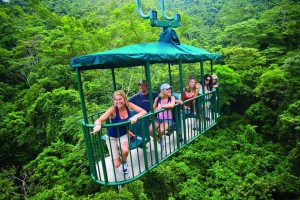 rain-forest-aerial-trams